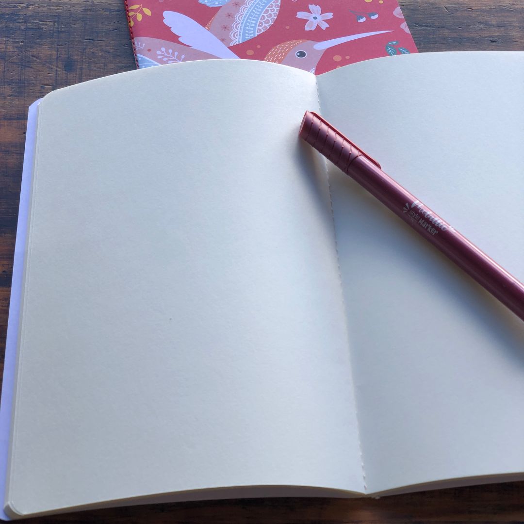 Hummingbird A5 Notebooks (3 Packs)